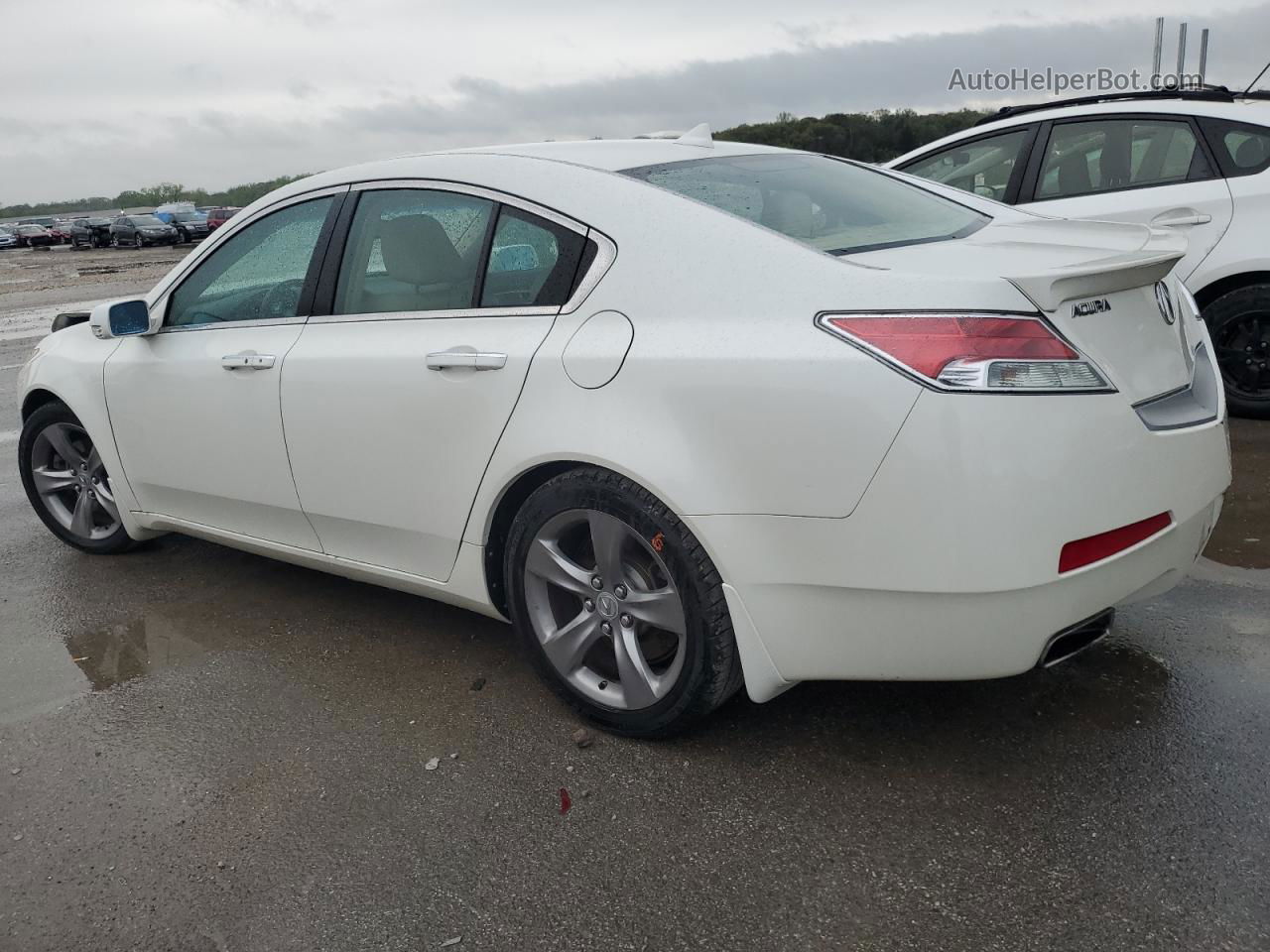 2010 Acura Tl  White vin: 19UUA8F52AA008341