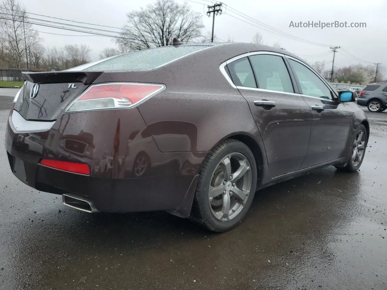 2010 Acura Tl  Burgundy vin: 19UUA8F52AA019940