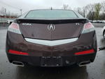 2010 Acura Tl  Burgundy vin: 19UUA8F52AA019940