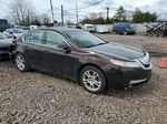 2010 Acura Tl  Maroon vin: 19UUA8F52AA022000