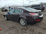 2010 Acura Tl  Maroon vin: 19UUA8F52AA022000