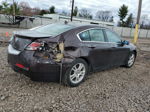 2010 Acura Tl  Maroon vin: 19UUA8F52AA022000