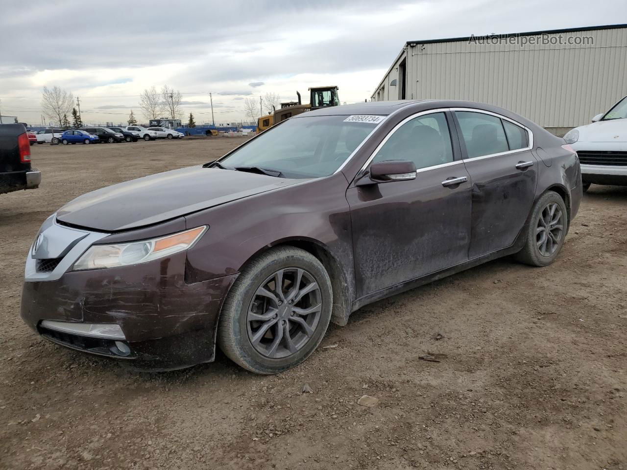 2010 Acura Tl  Коричневый vin: 19UUA8F52AA800652