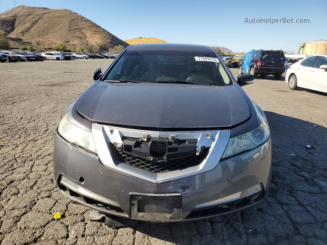 2010 Acura Tl  Серый vin: 19UUA8F54AA011631