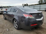 2010 Acura Tl  Charcoal vin: 19UUA8F56AA003577