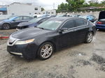 2010 Acura Tl  Black vin: 19UUA8F56AA014546