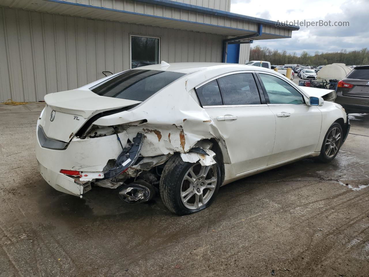 2010 Acura Tl  White vin: 19UUA8F57AA012224