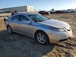 2010 Acura Tl  Silver vin: 19UUA8F57AA015186