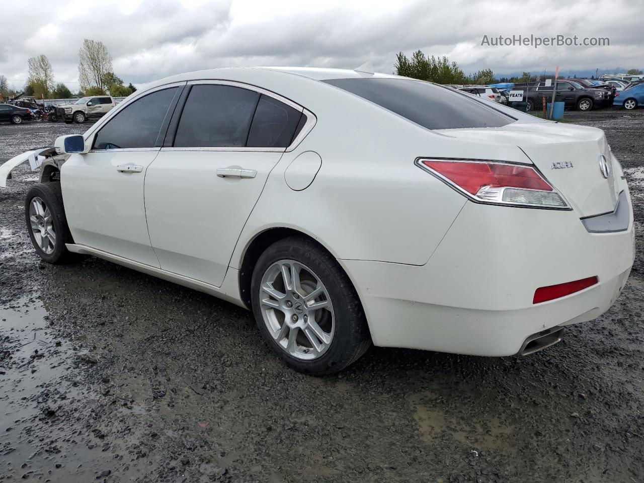 2010 Acura Tl  White vin: 19UUA8F57AA024972