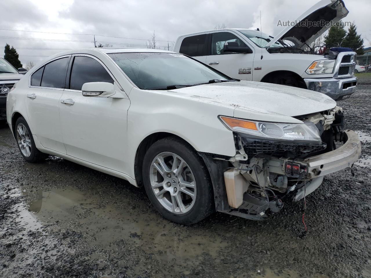 2010 Acura Tl  White vin: 19UUA8F57AA024972