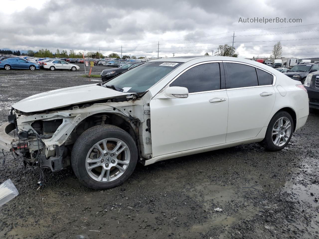 2010 Acura Tl  White vin: 19UUA8F57AA024972