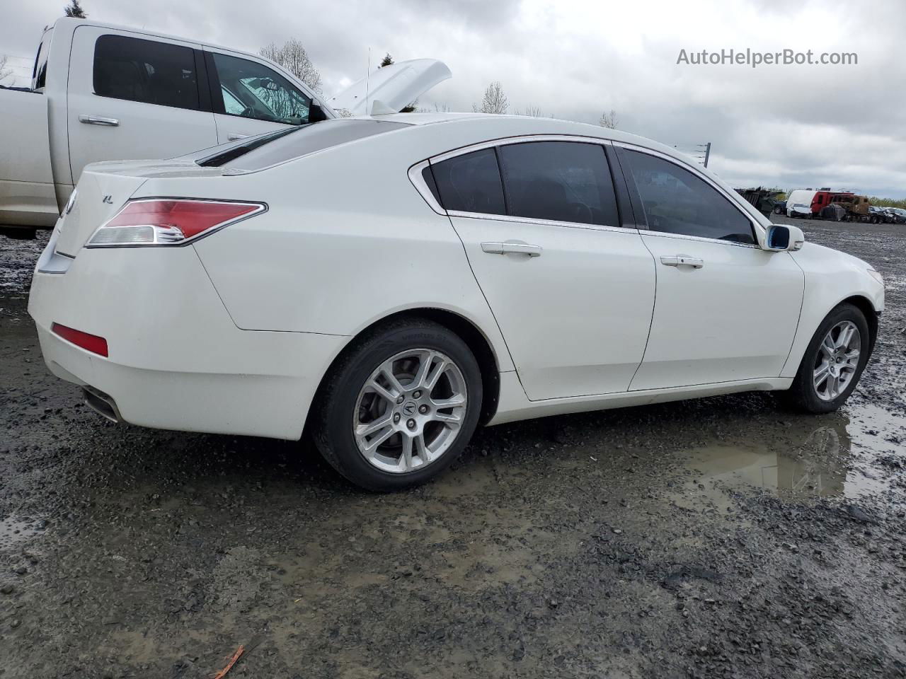 2010 Acura Tl  White vin: 19UUA8F57AA024972