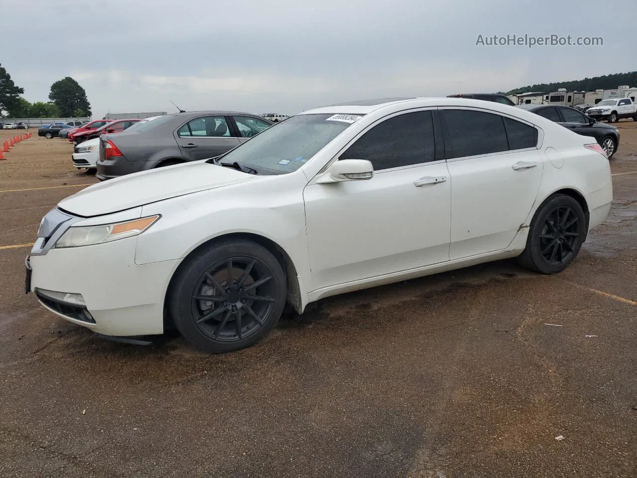 2010 Acura Tl  White vin: 19UUA8F58AA000518