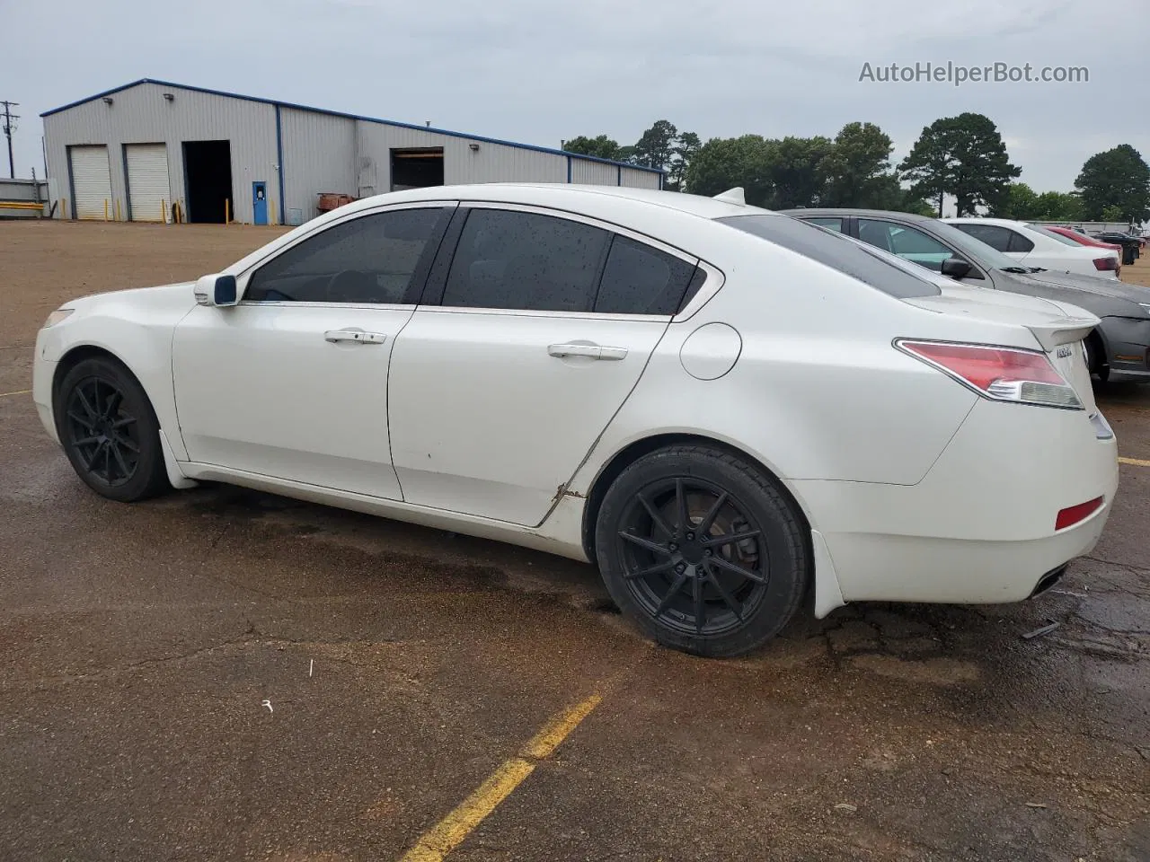 2010 Acura Tl  White vin: 19UUA8F58AA000518