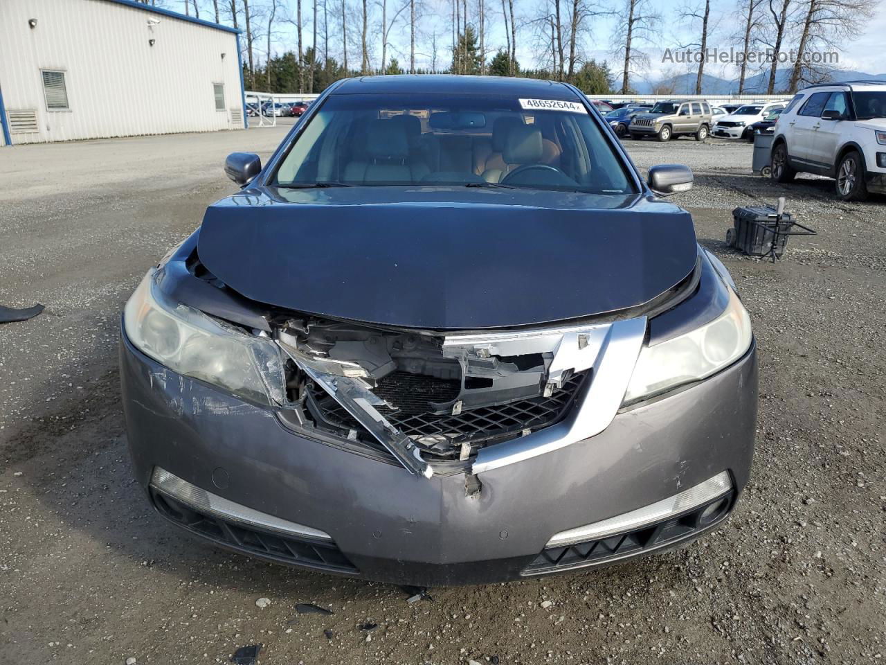 2010 Acura Tl  Charcoal vin: 19UUA8F58AA009753