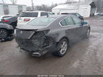 2010 Acura Tl 3.5 Gray vin: 19UUA8F58AA018789