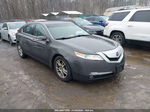 2010 Acura Tl 3.5 Gray vin: 19UUA8F58AA018789