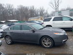 2010 Acura Tl 3.5 Gray vin: 19UUA8F58AA018789