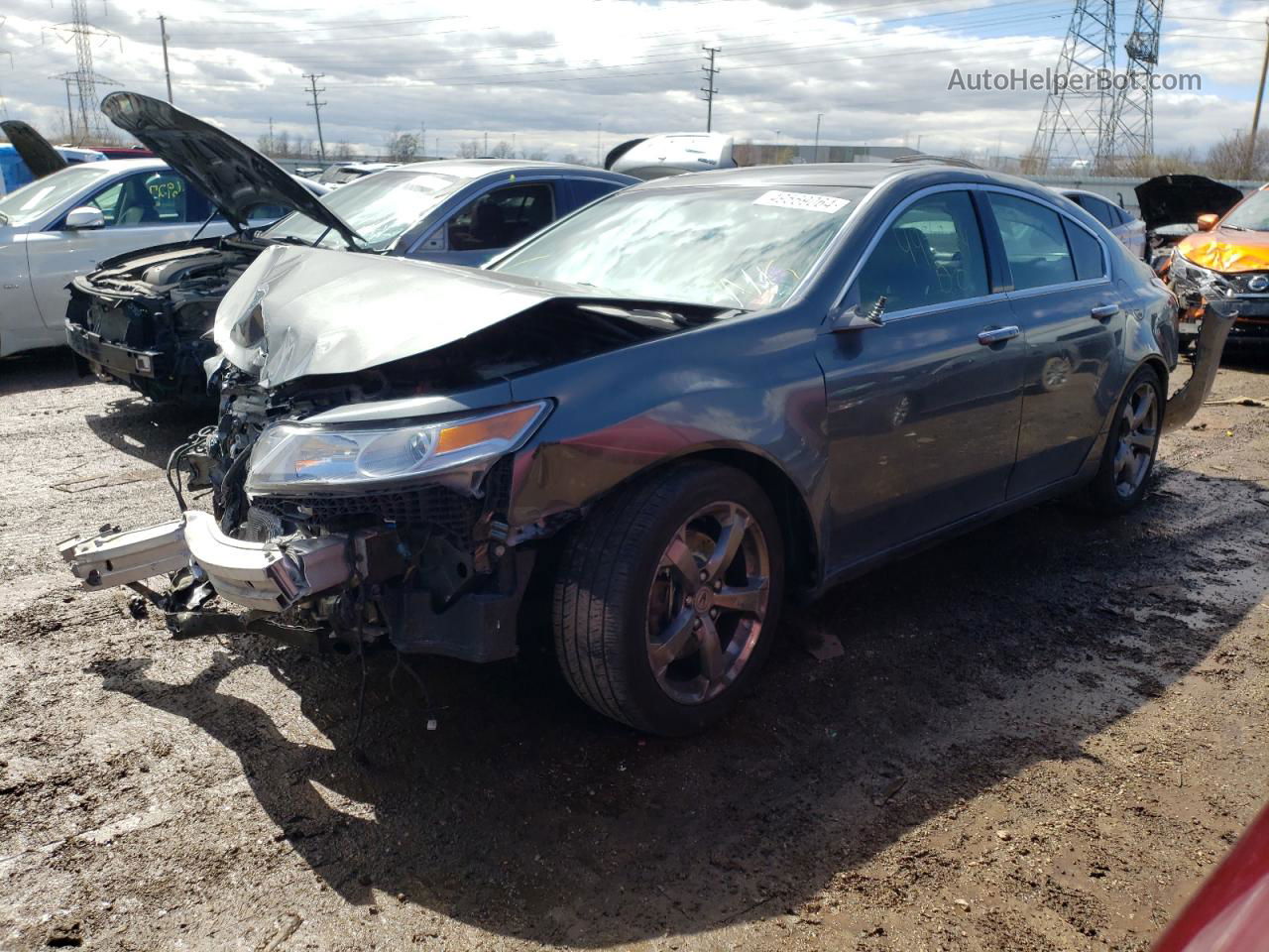 2010 Acura Tl  Gray vin: 19UUA8F58AA024429