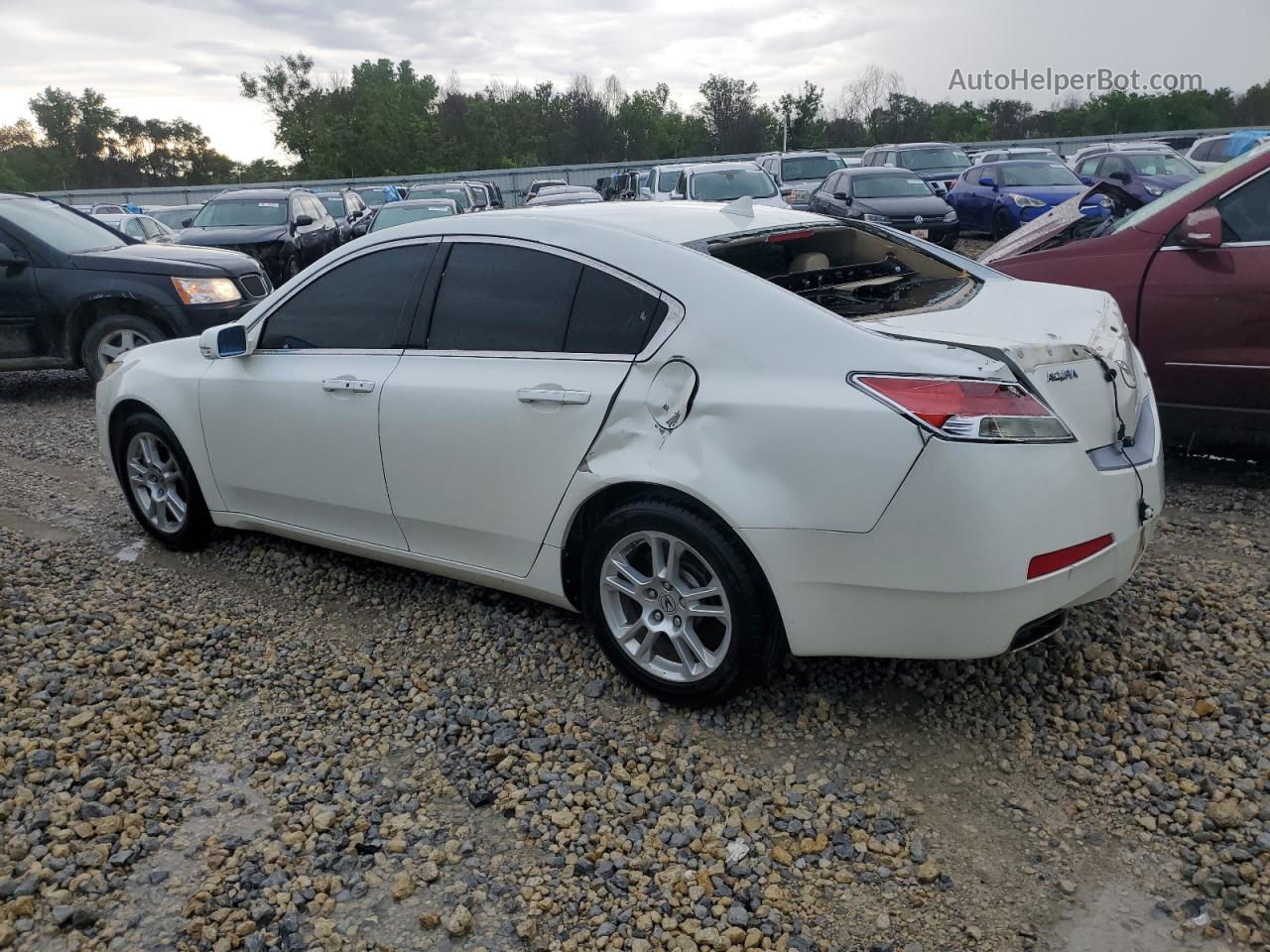 2010 Acura Tl  White vin: 19UUA8F59AA003685