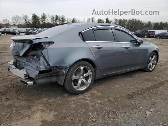 2010 Acura Tl  Gray vin: 19UUA8F59AA010314