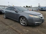 2010 Acura Tl  Gray vin: 19UUA8F59AA010314