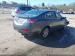 2010 Acura Tl 3.5 Gray vin: 19UUA8F59AA014248