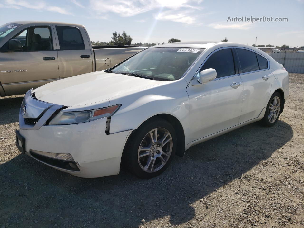 2010 Acura Tl  White vin: 19UUA8F59AA015576