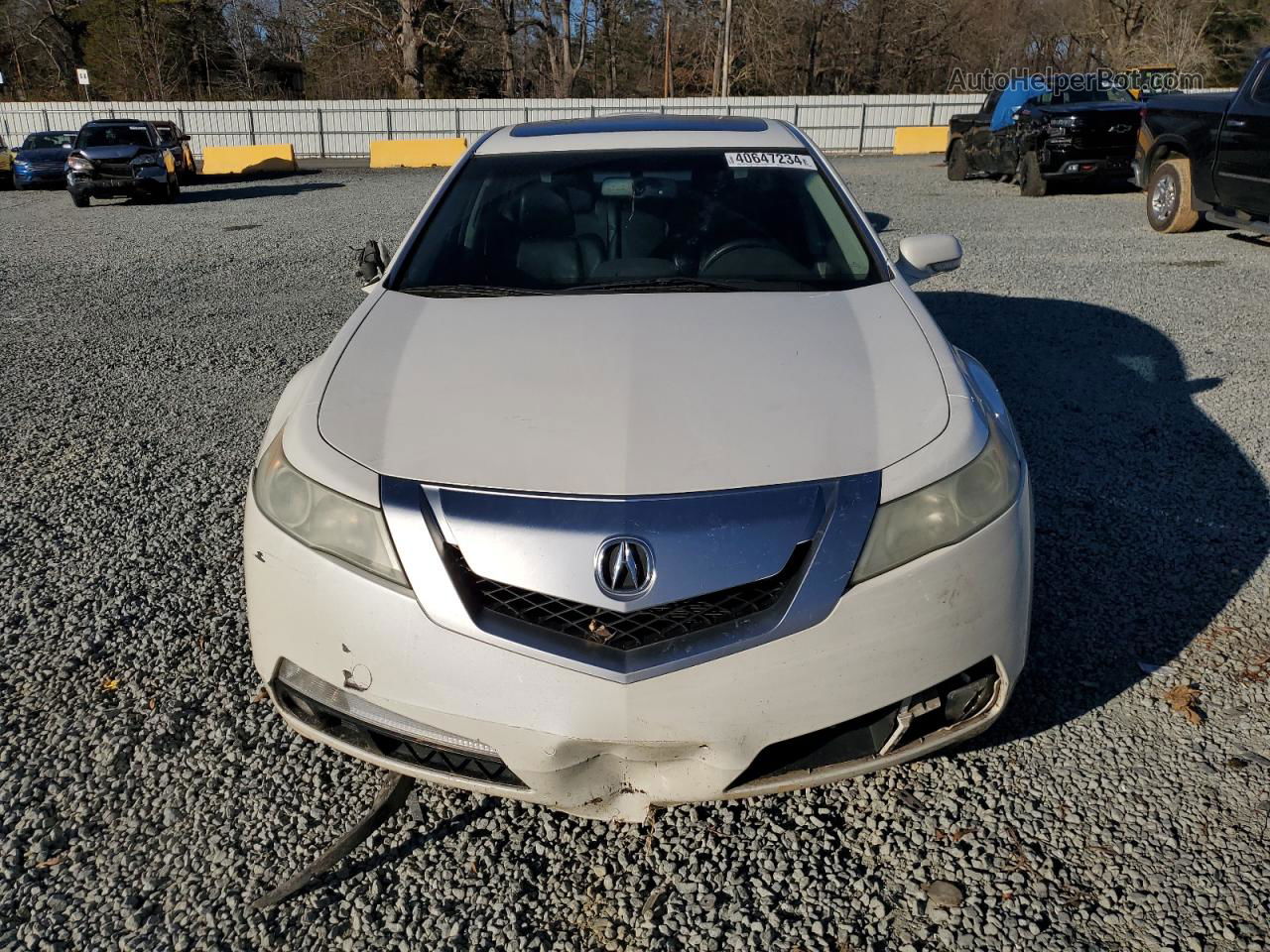 2010 Acura Tl  White vin: 19UUA8F59AA015951