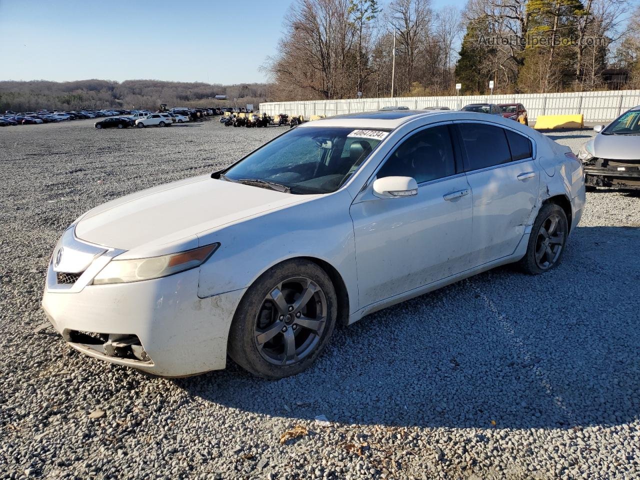 2010 Acura Tl  White vin: 19UUA8F59AA015951