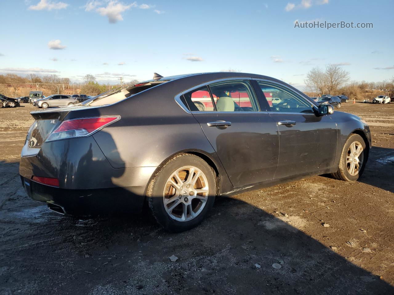 2010 Acura Tl  Gray vin: 19UUA8F59AA016971