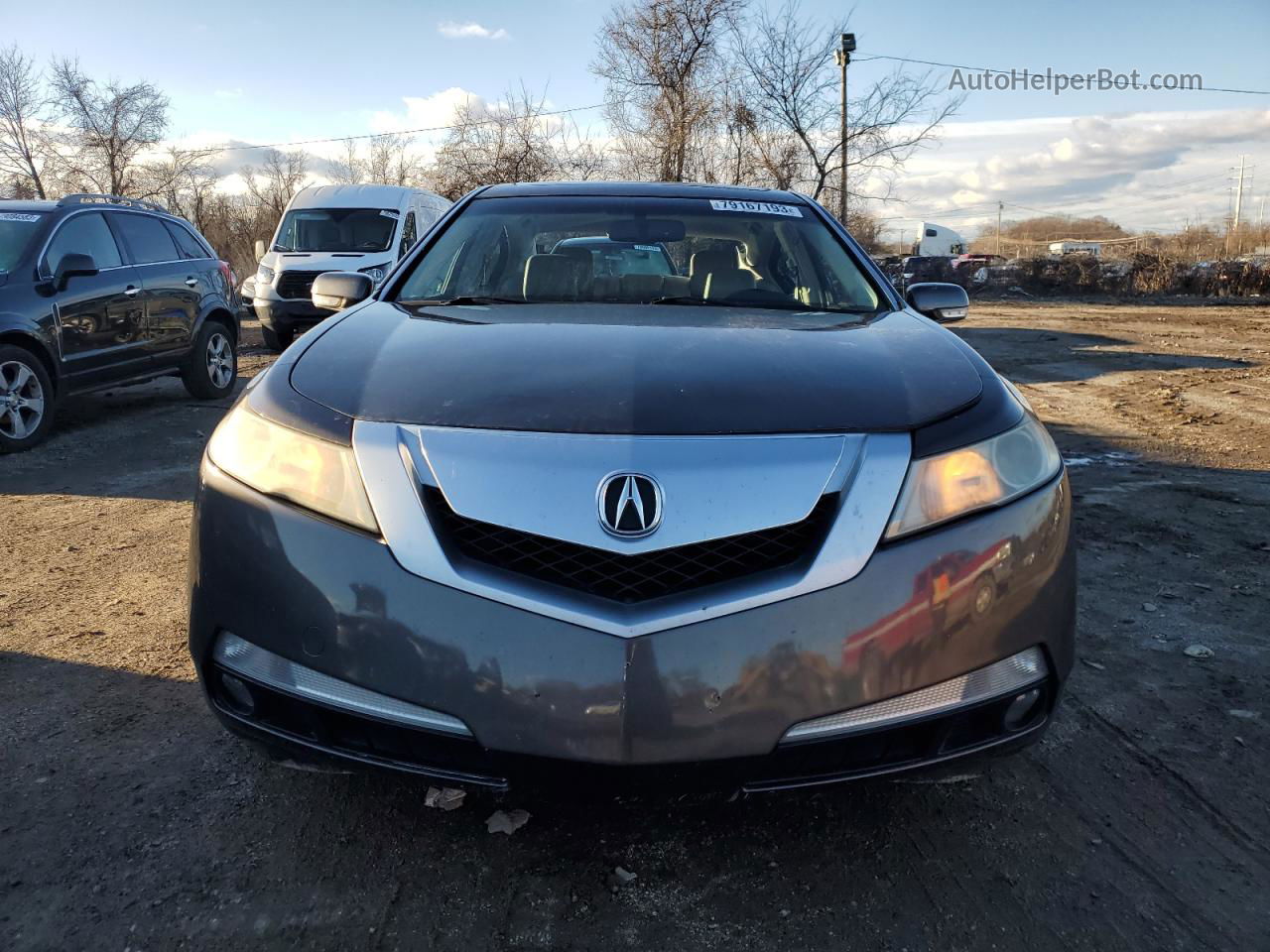 2010 Acura Tl  Серый vin: 19UUA8F59AA016971