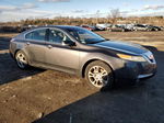 2010 Acura Tl  Серый vin: 19UUA8F59AA016971