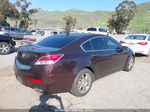 2010 Acura Tl 3.5 Dark Brown vin: 19UUA8F59AA020003