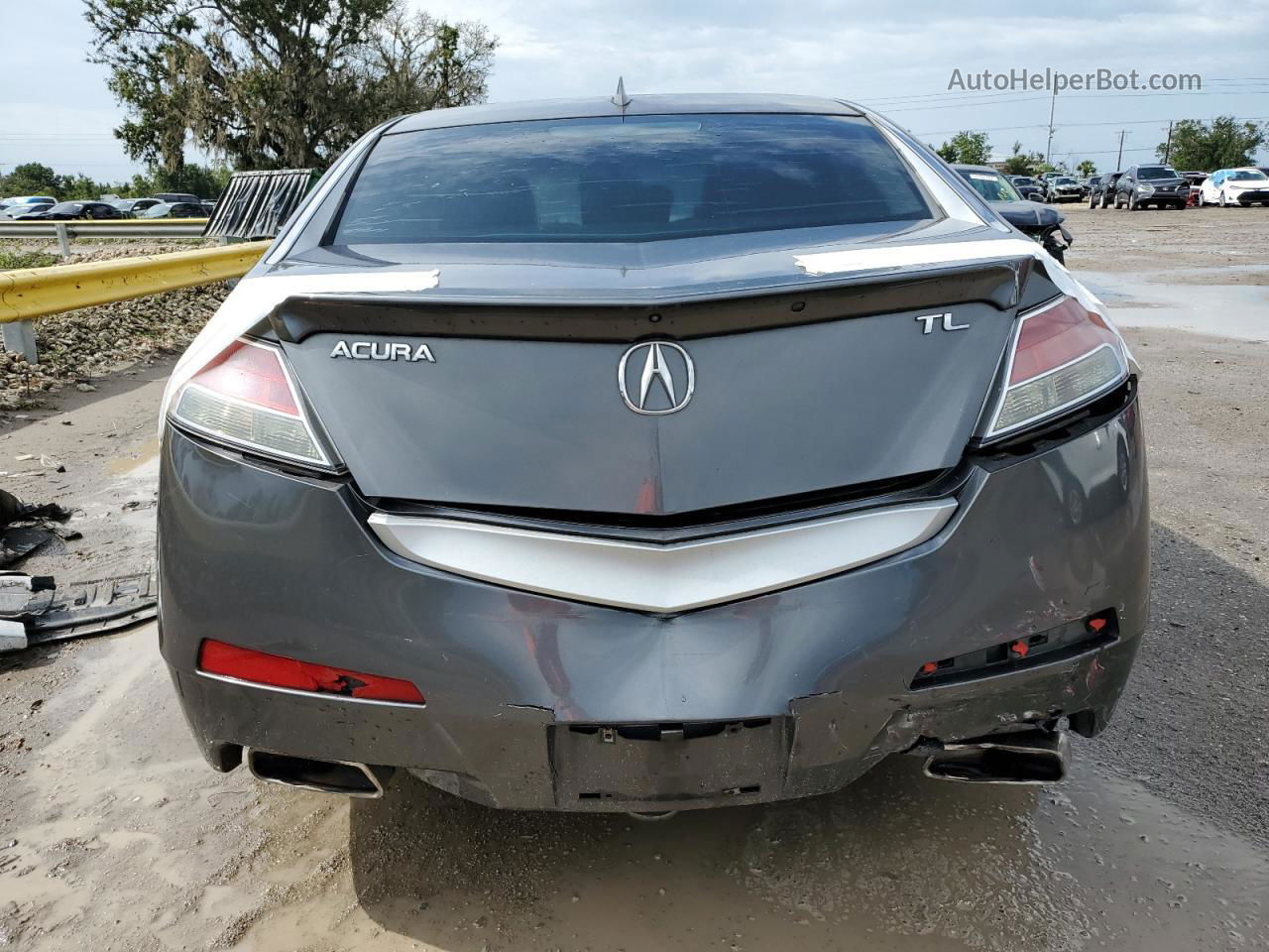 2010 Acura Tl  Gray vin: 19UUA8F5XAA022665