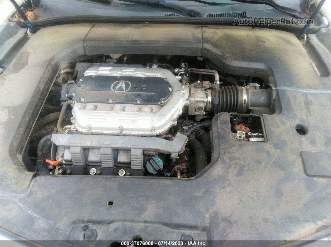 2010 Acura Tl Tech Белый vin: 19UUA8F5XAA026781