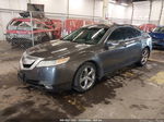 2010 Acura Tl 3.7 Gray vin: 19UUA9F22AA000557