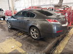 2010 Acura Tl 3.7 Gray vin: 19UUA9F22AA000557