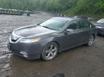 2010 Acura Tl  Gray vin: 19UUA9F23AA001510