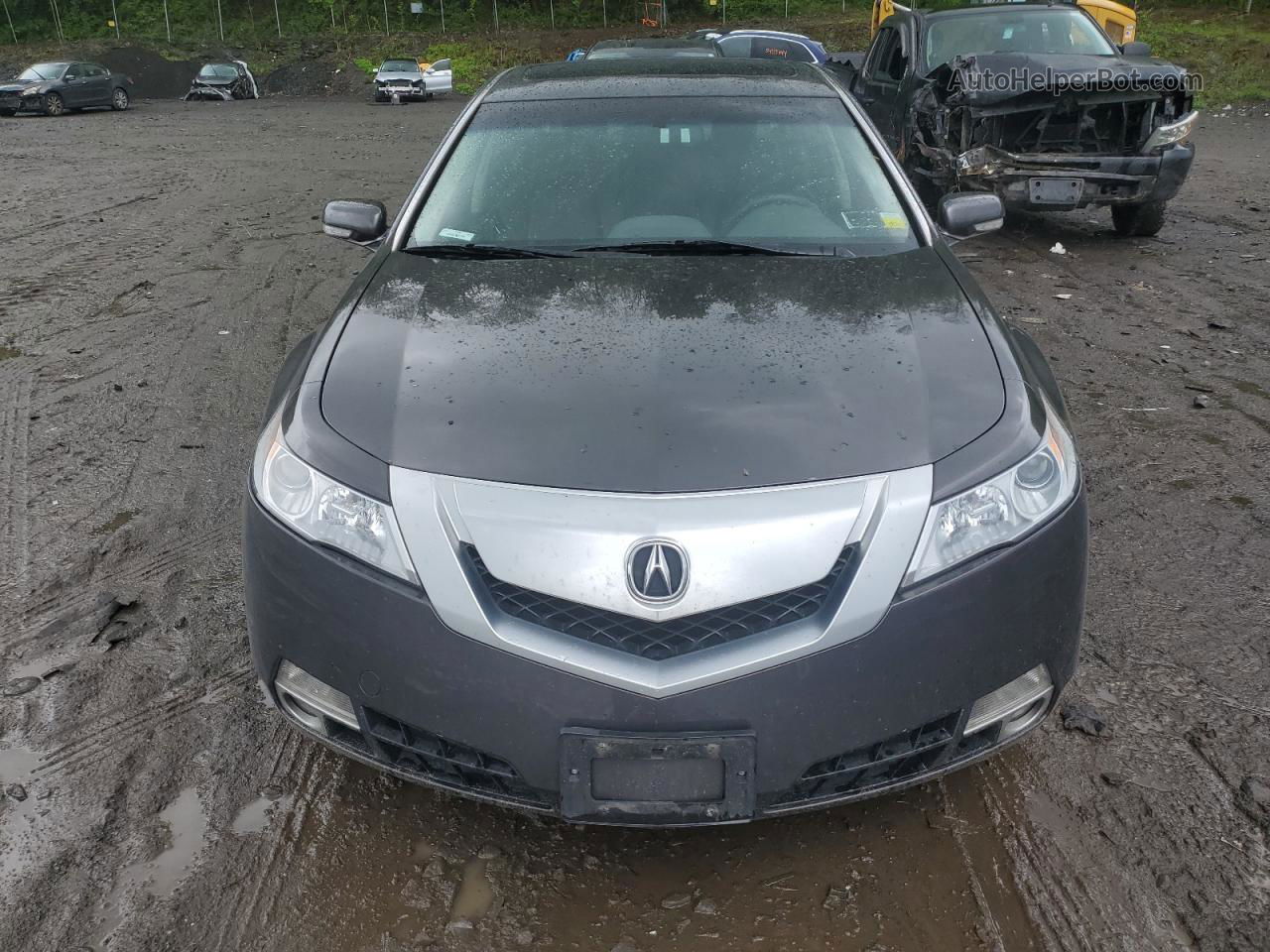 2010 Acura Tl  Серый vin: 19UUA9F23AA001510