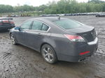 2010 Acura Tl  Gray vin: 19UUA9F23AA001510