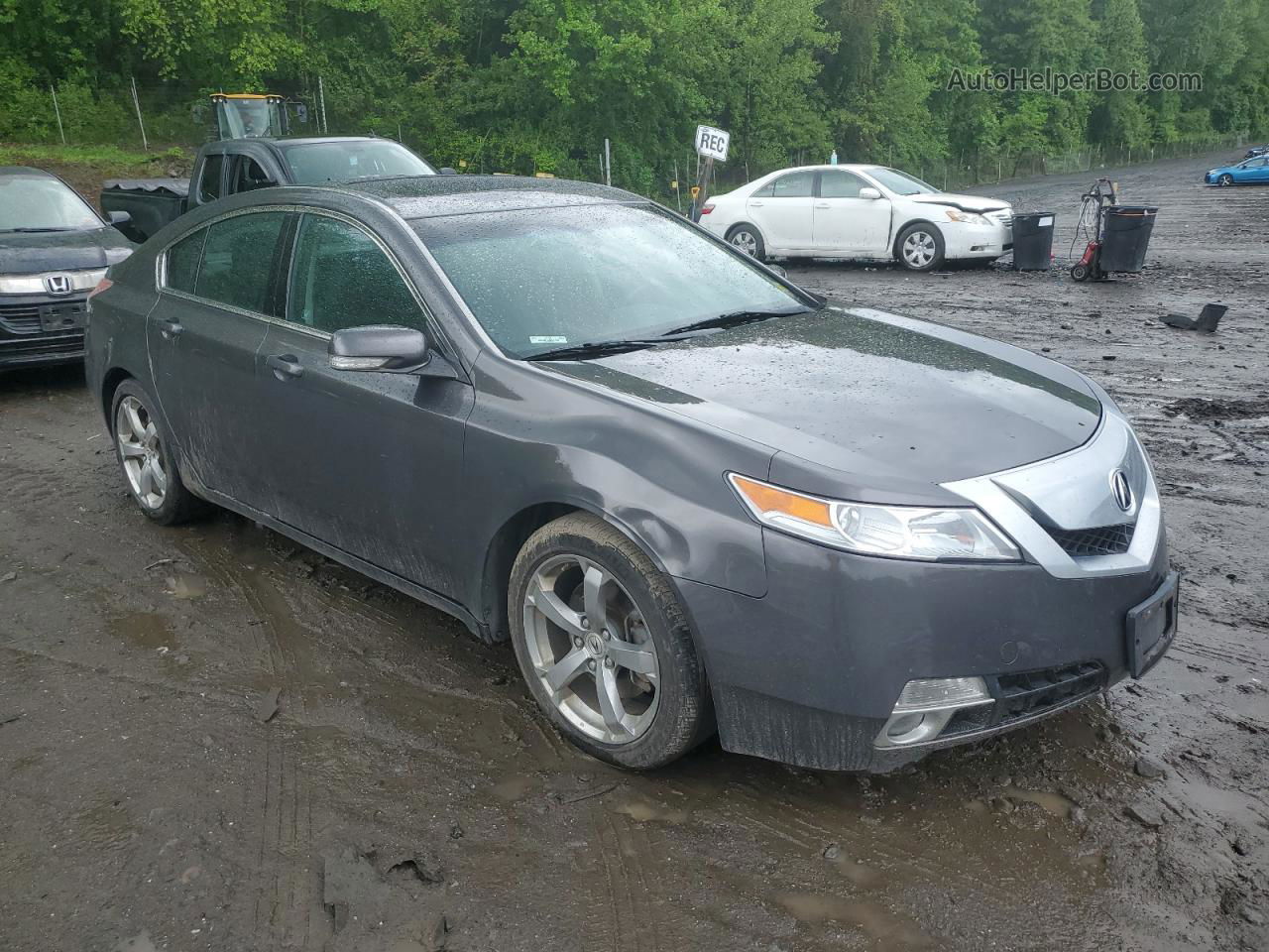 2010 Acura Tl  Gray vin: 19UUA9F23AA001510