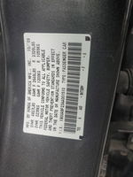 2010 Acura Tl  Серый vin: 19UUA9F23AA001510