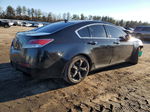 2010 Acura Tl  Black vin: 19UUA9F29AA001690