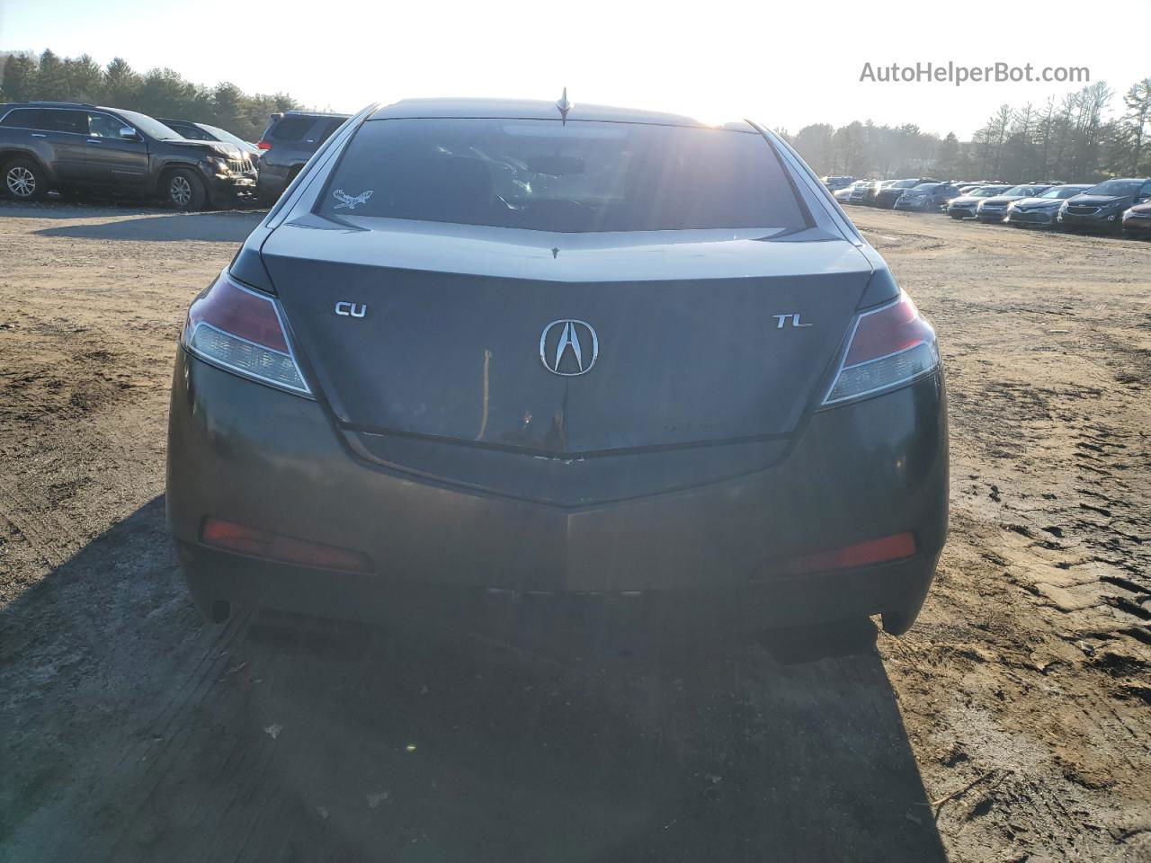 2010 Acura Tl  Black vin: 19UUA9F29AA001690