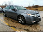 2010 Acura Tl 3.7 Gray vin: 19UUA9F50AA002124