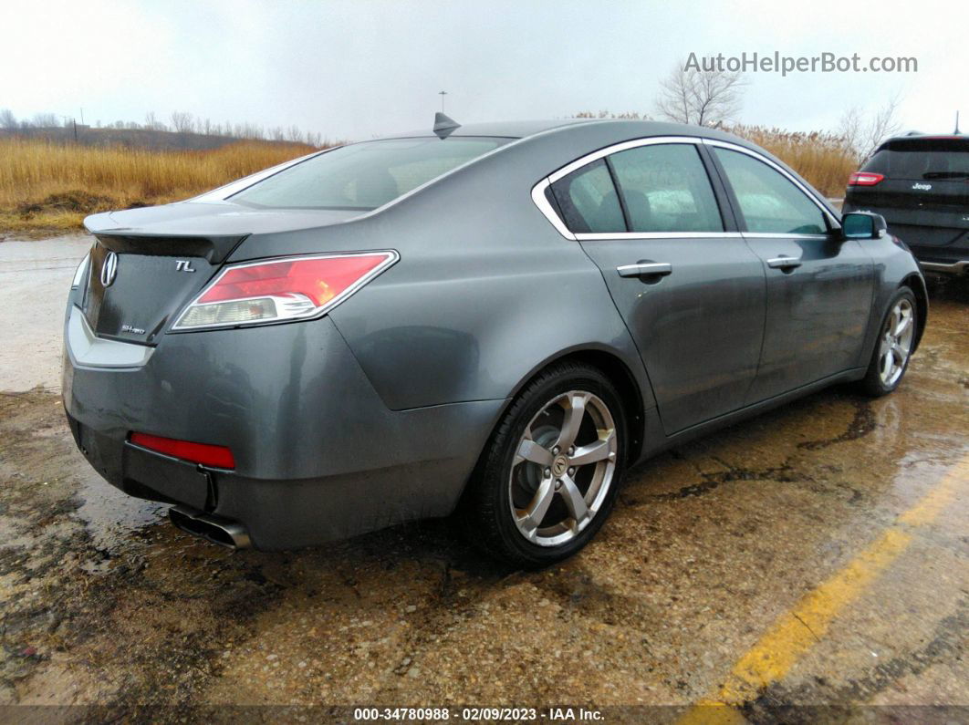 2010 Acura Tl 3.7 Gray vin: 19UUA9F50AA002124