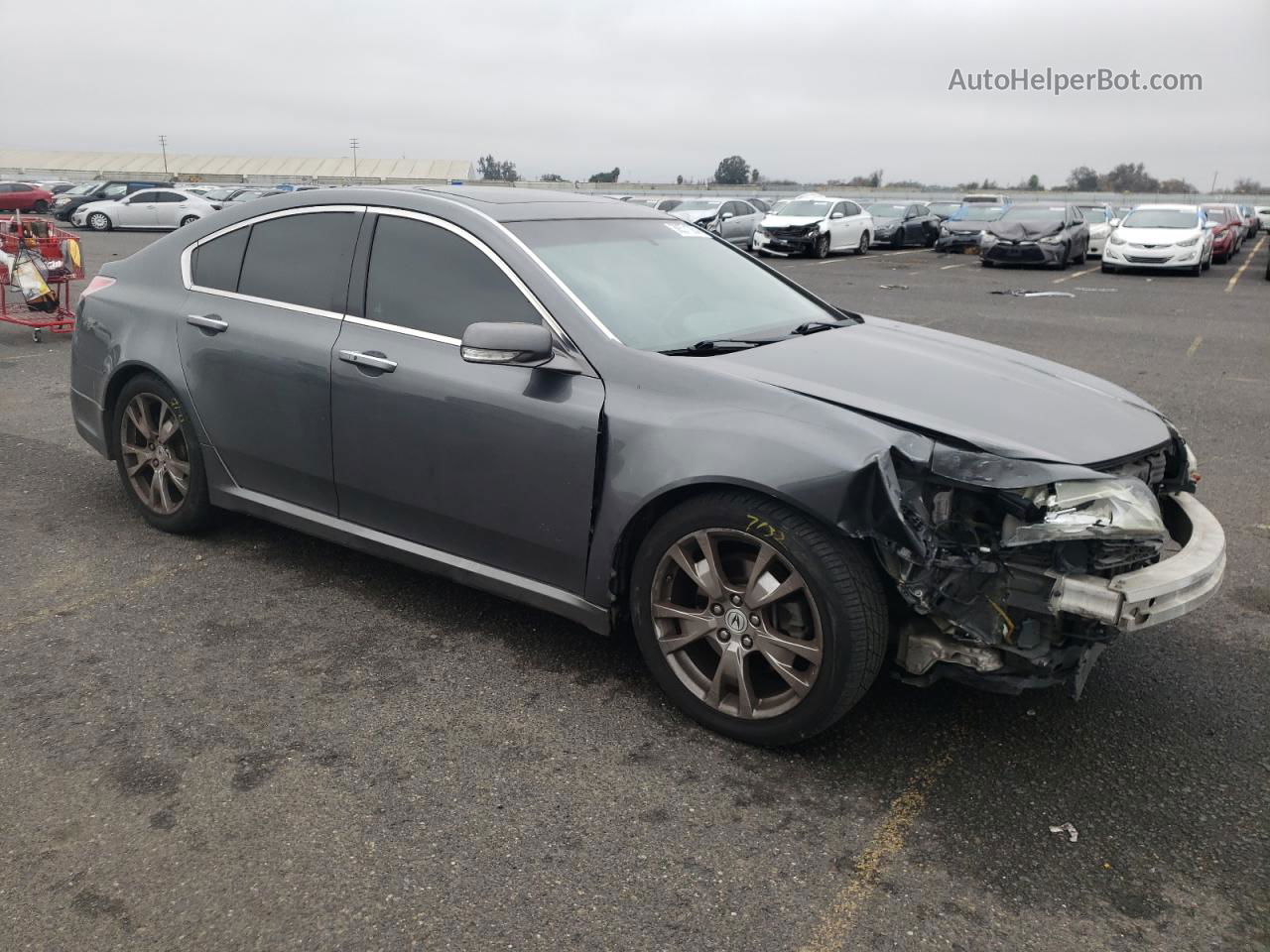 2010 Acura Tl  Gray vin: 19UUA9F51AA007560