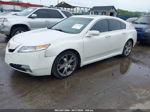 2010 Acura Tl 3.7 Белый vin: 19UUA9F52AA000939