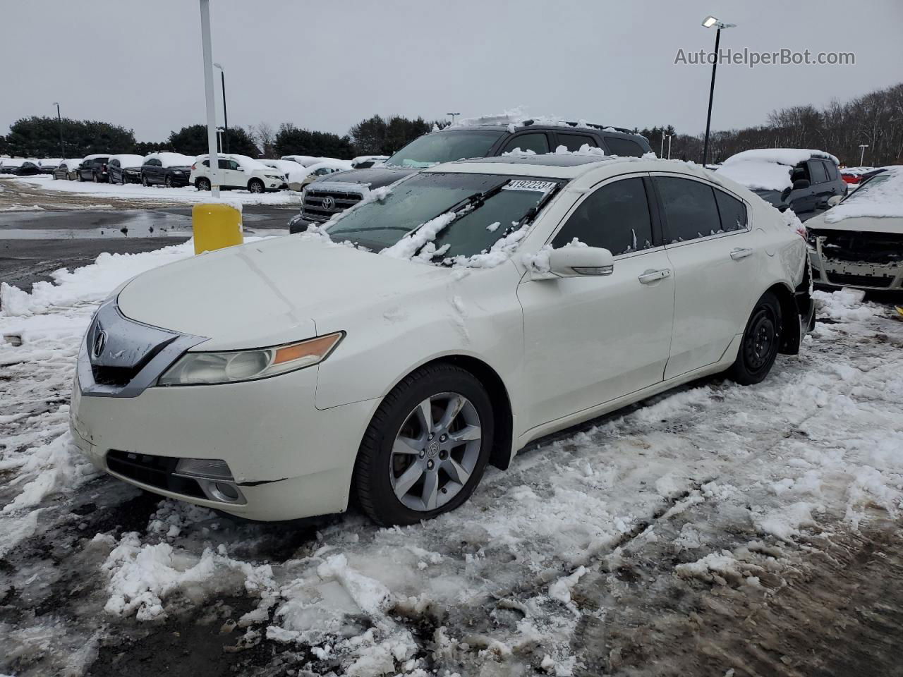 2010 Acura Tl  White vin: 19UUA9F52AA001475